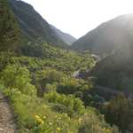 Logan Canyon Scenic Byway in May