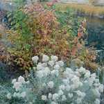 White and Russet Bushes at Third Dam