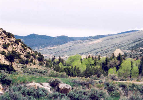 Sheep Creek Canyon