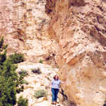 A Visitor at The Navajo Formations