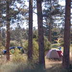Camping at Greendale in Flaming Gorge NRA
