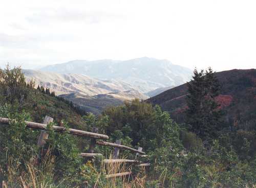 View of Salt Creek Canyon