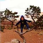 Fun in a Tree at Capitol Reef National Park
