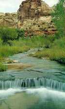 Calf Creek in Escalante Canyons