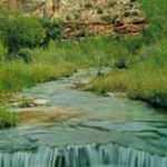 Calf Creek in Escalante Canyons