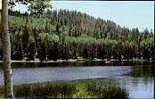 Posey Lake in Summer