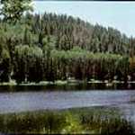 Posey Lake in Summer