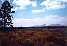View Across Plateaus from Scenic Byway 12 Rest Area near Bryce Summit