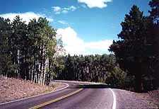 Aspen, Pine, and the Road Down Boulder Mountain