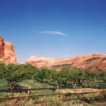 The Historic Fruita Orchards