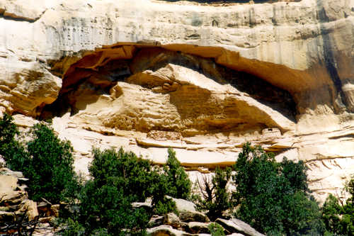 Anasazi Granary-- an "Intrigue of the Past."
