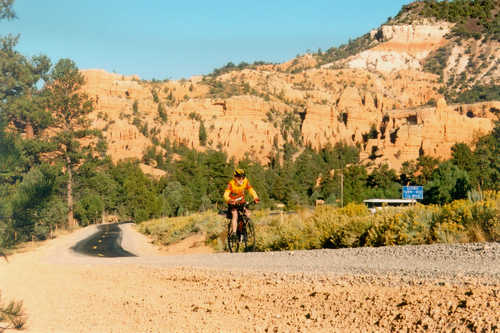 Cyclist on Scenic Byway 12