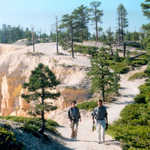 Hikers on the Rim Trail at Bryce Canyon
