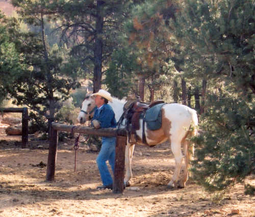 Trail Guide Waits by a Pinto in Losee Canyon