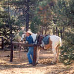Trail Guide Waits by a Pinto in Losee Canyon