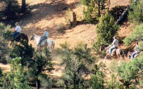 Riders on Horseback in the Red Canyon Area.