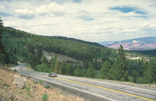Curving Through Dixie National Forest on Boulder Mountain