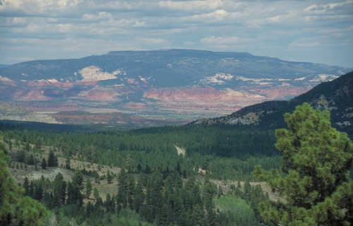 View Toward Capitol Reef from Boulder Mountain