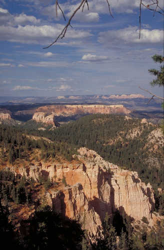 Powell Point from Bryce Canyon