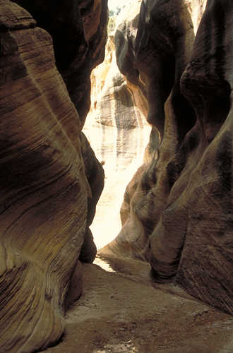 Shadows and Sunlight in the Slot Canyon