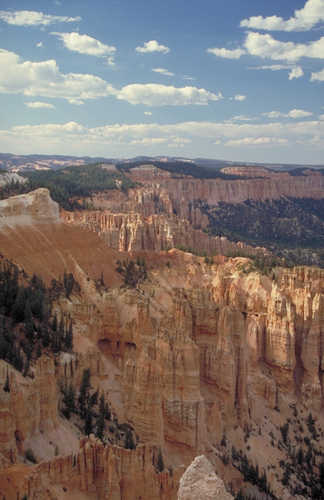Looking into Bryce Canyon
