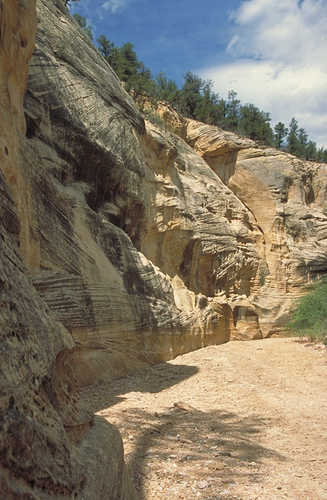 Layers of Rock in Willis Canyon