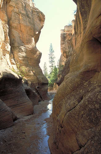 Watery Path Through Slot Canyon