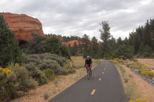 Cyclist on Red Canyon Trail