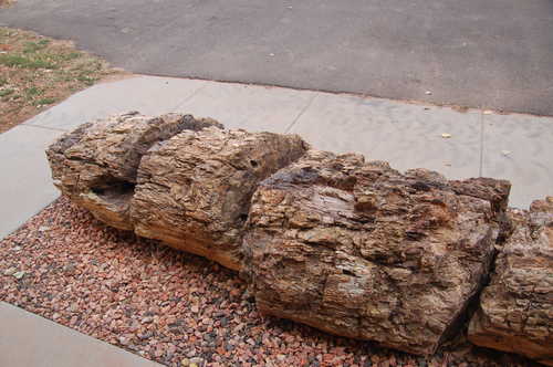 Petrified Log at Escalante State Park