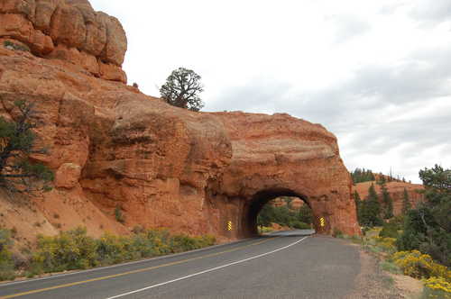 Rock Tunnel on Scenic Byway 12