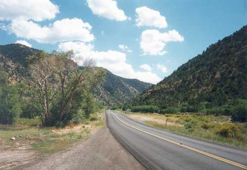 Driving Through Cottonwood and Oak in the Lower Canyon