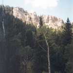 White Hoodoos above Forest on Road from Parowan