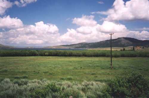 Wetlands Along Panguitch Lake