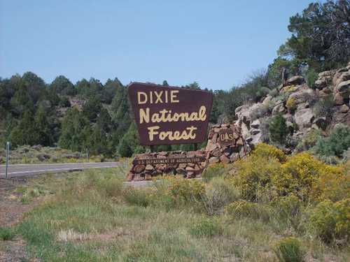 Dixie National Forest Entrance Sign