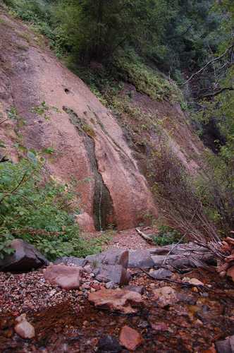 Weeping Rock on Hidden Haven Trail