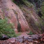 Weeping Rock on Hidden Haven Trail