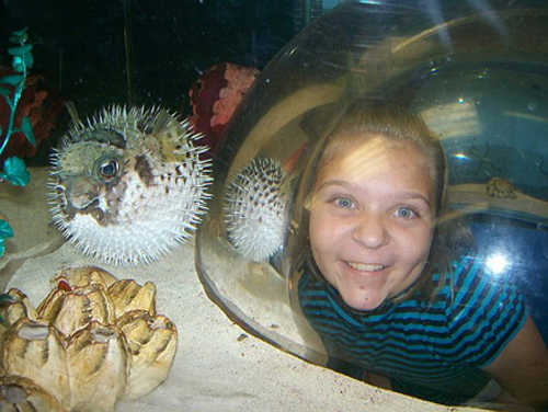 Frightened Puffer Fish at the Las Vegas Natural History Museum