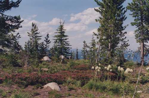 View of Beargrass along Lolo Motorway
