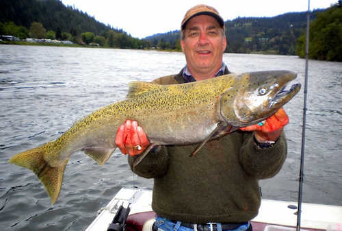 Clearwater Chinook Salmon