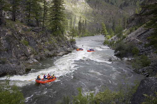 Rafting the Salmon River