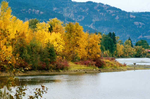 Sand Creek in Fall Color