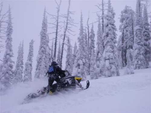 Snow-Covered Trees and Snowmobiling