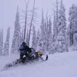 Snow-Covered Trees and Snowmobiling