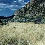 Emigrant Burial Site near Soda Springs, Idaho