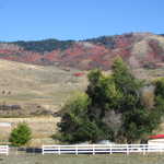 Ranch Fences from Grace to Preston