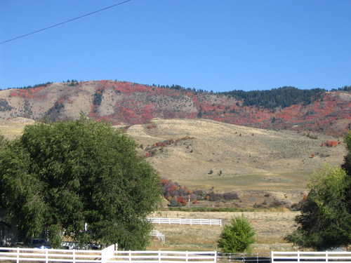 Autumn Colors and Ranch Fences