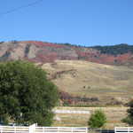 Autumn Colors and Ranch Fences