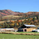 Hay in Barn and Autumn Color