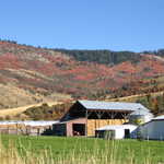 Autumn Hay Harvest