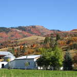 Farm in the Fall